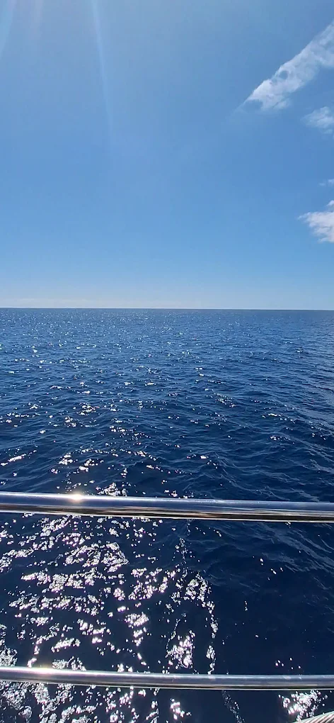 Catamaran Cruise in Puerto del Carmen photo 2