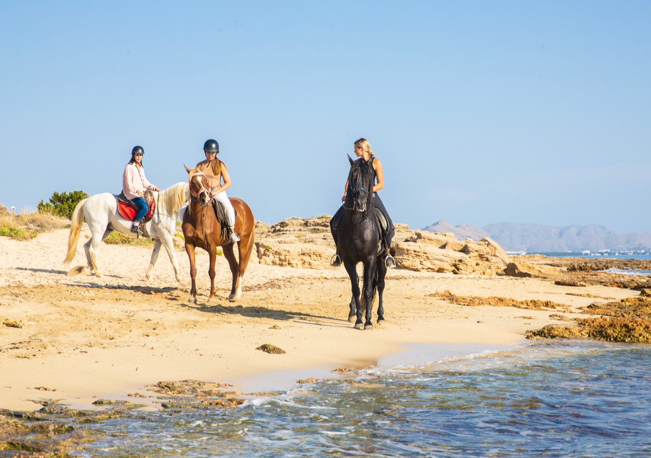 Alcudia Horses