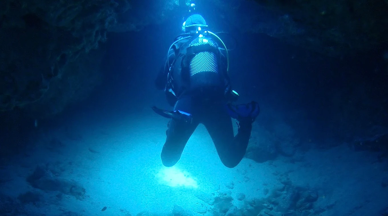 Dawn Dives Academy