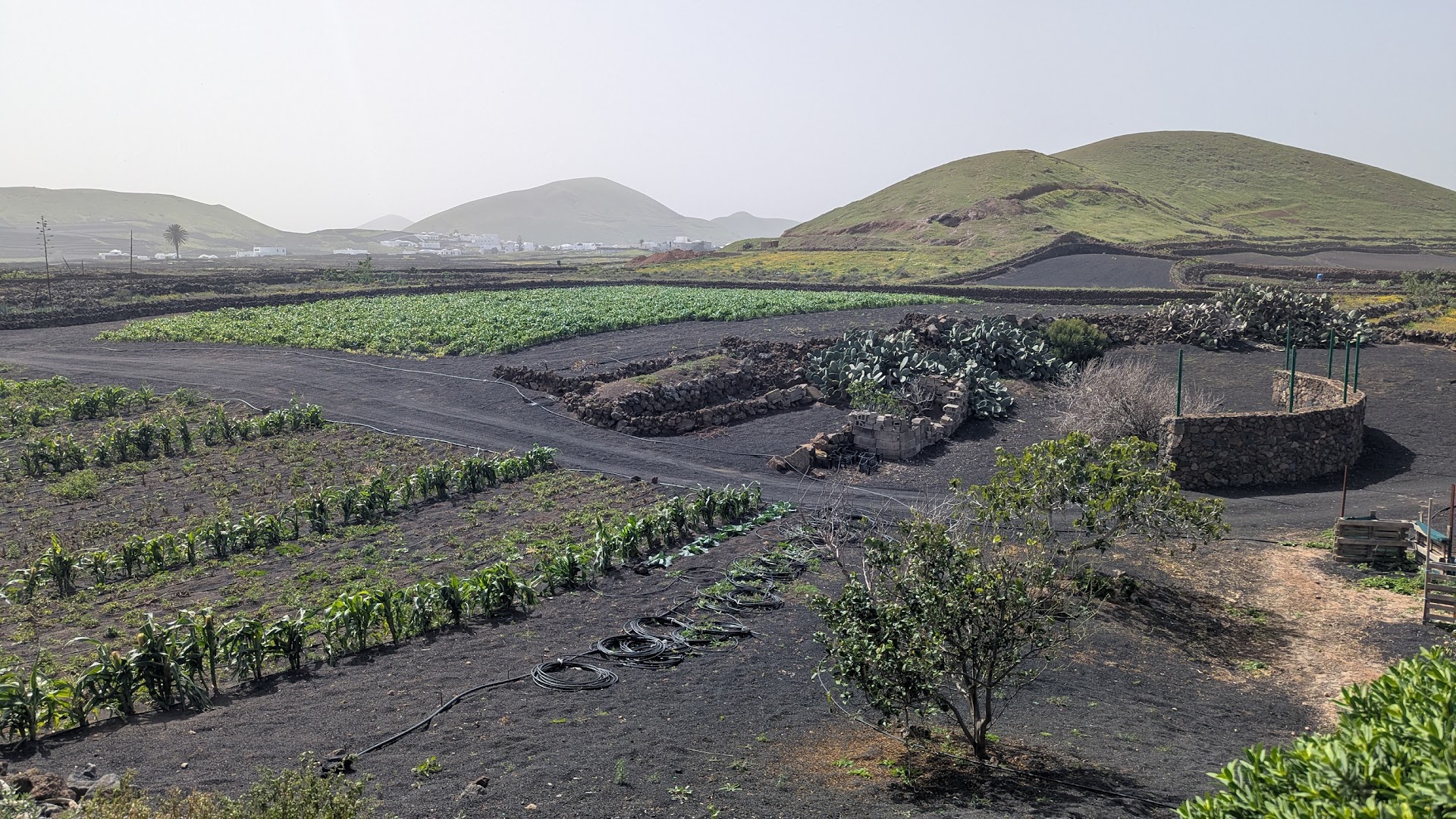 We Love Lanzarote