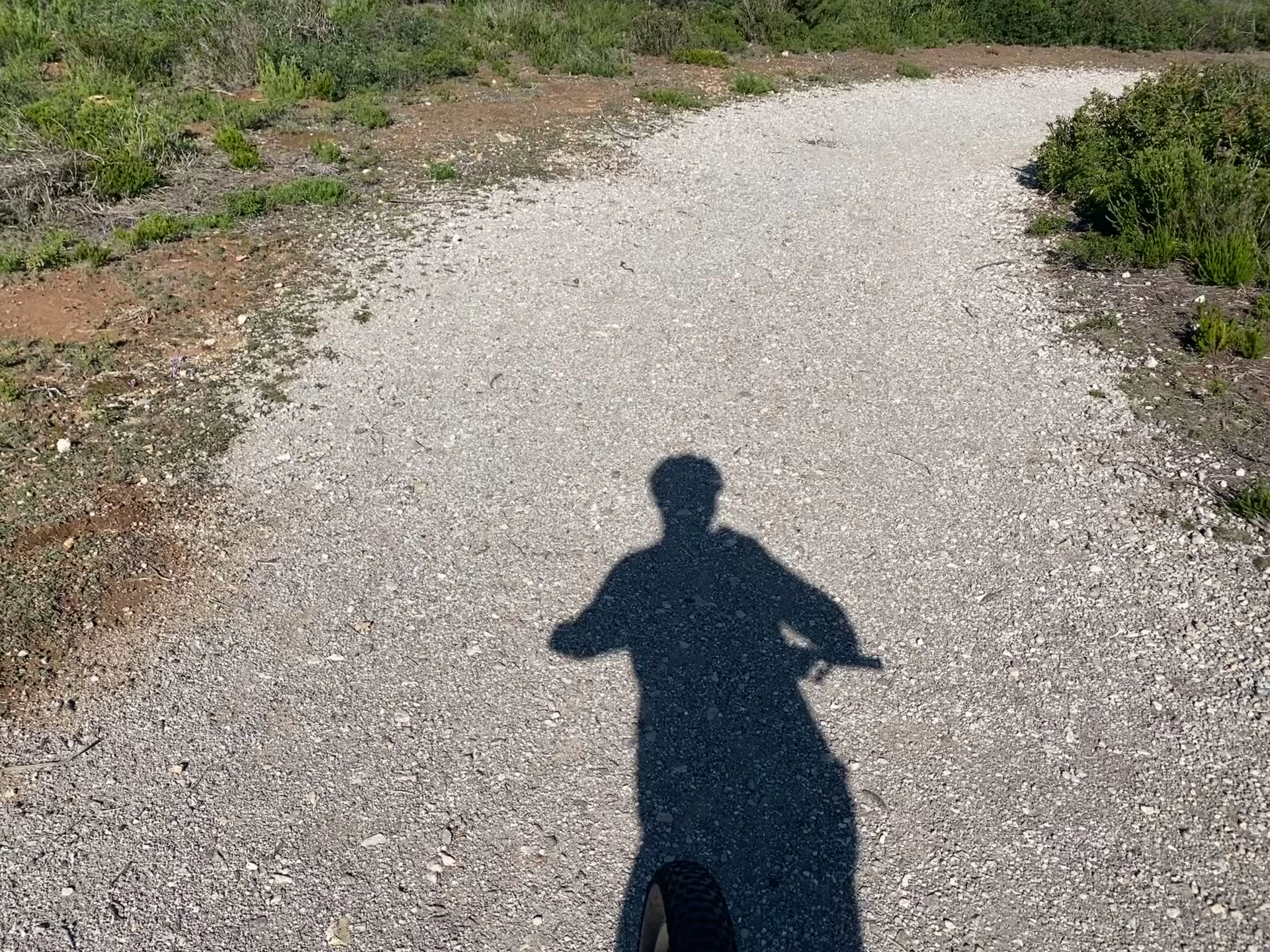 Kayaking & Paddleboarding in Colònia de Sant Pere photo 3