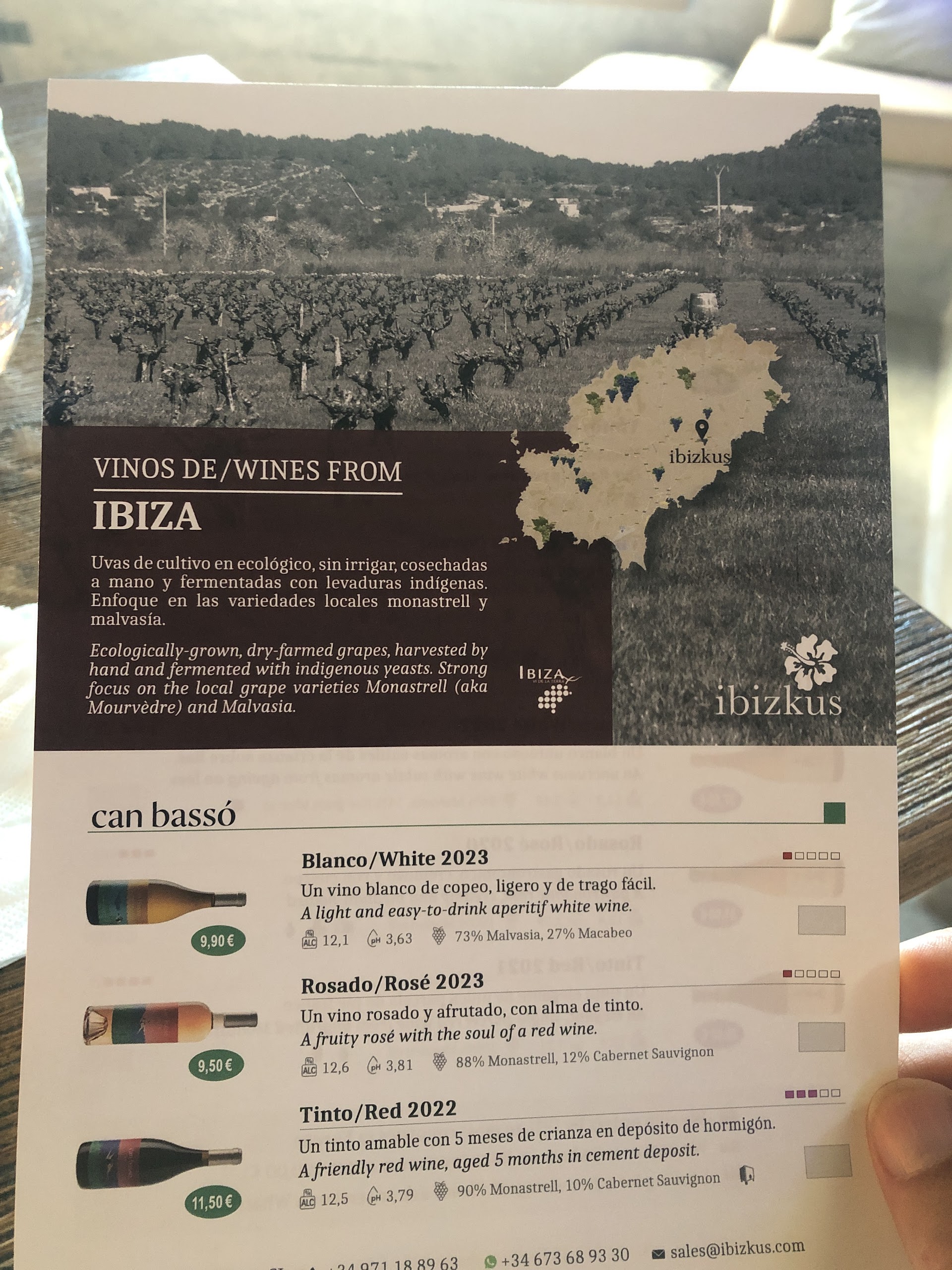 Wine Tasting in Cala Nova photo 2