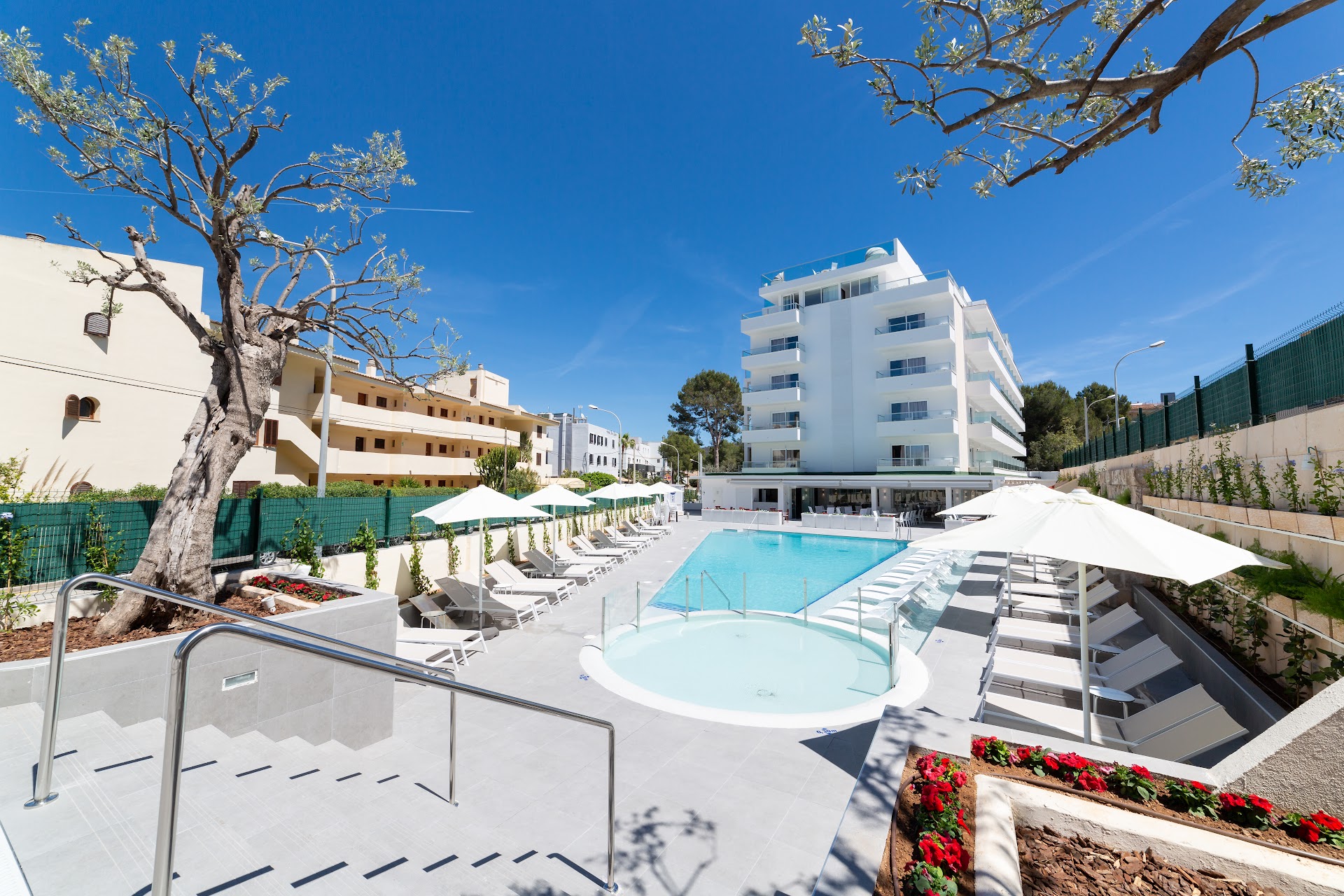 Wellness Retreat in Santa Ponsa photo 5