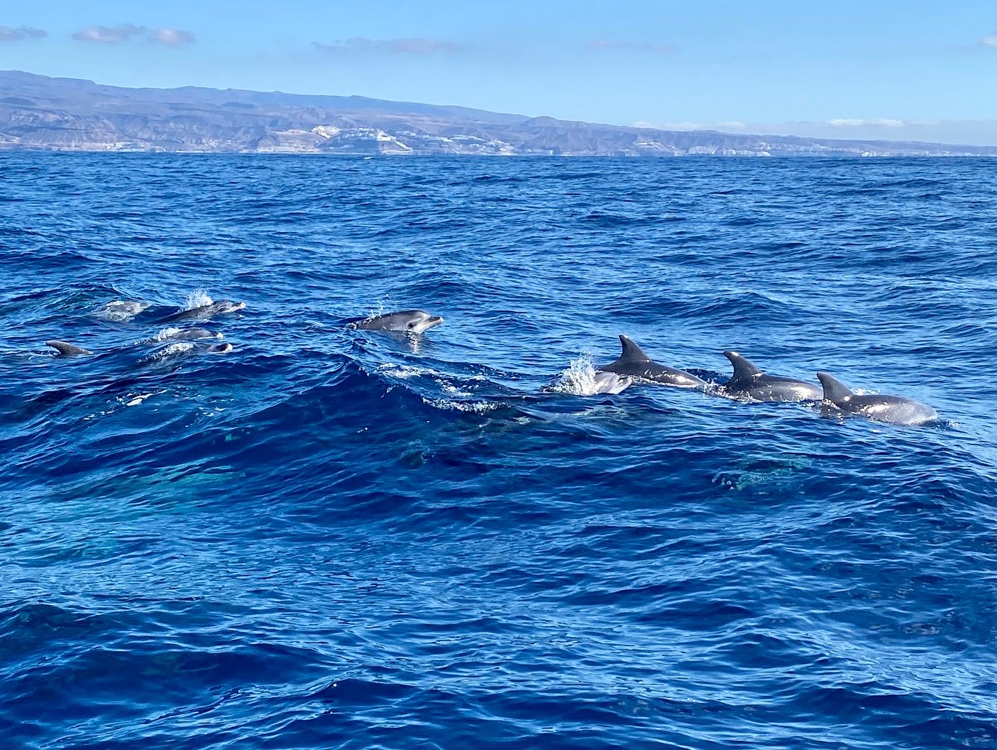 Glass Bottom Boat Tours Gran Canaria