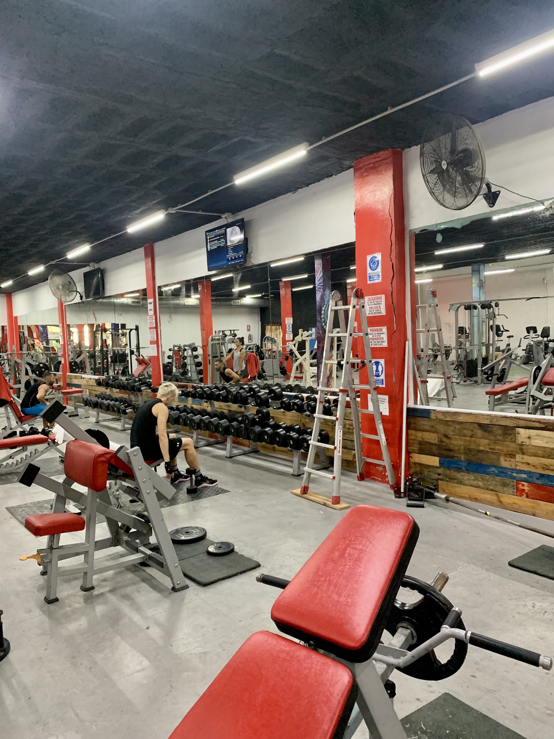 Gyms & Fitness in flores photo 5