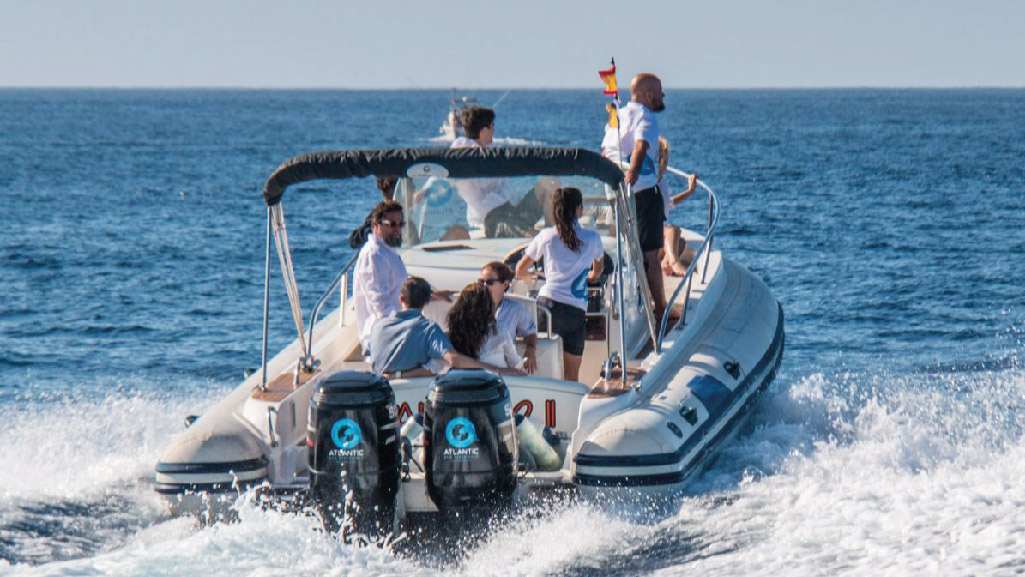 Whale Watching in Playa de las Américas photo 5