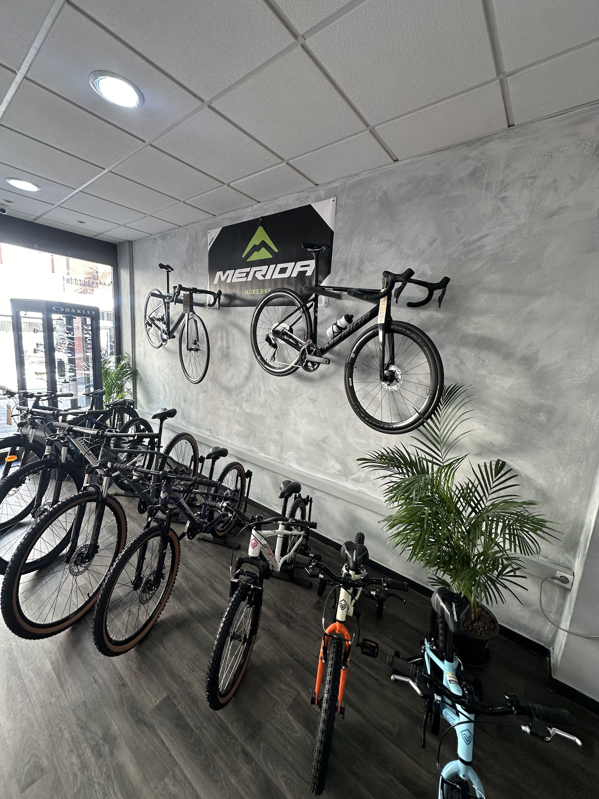 Mountain Bike Rental in La Orotava photo 4