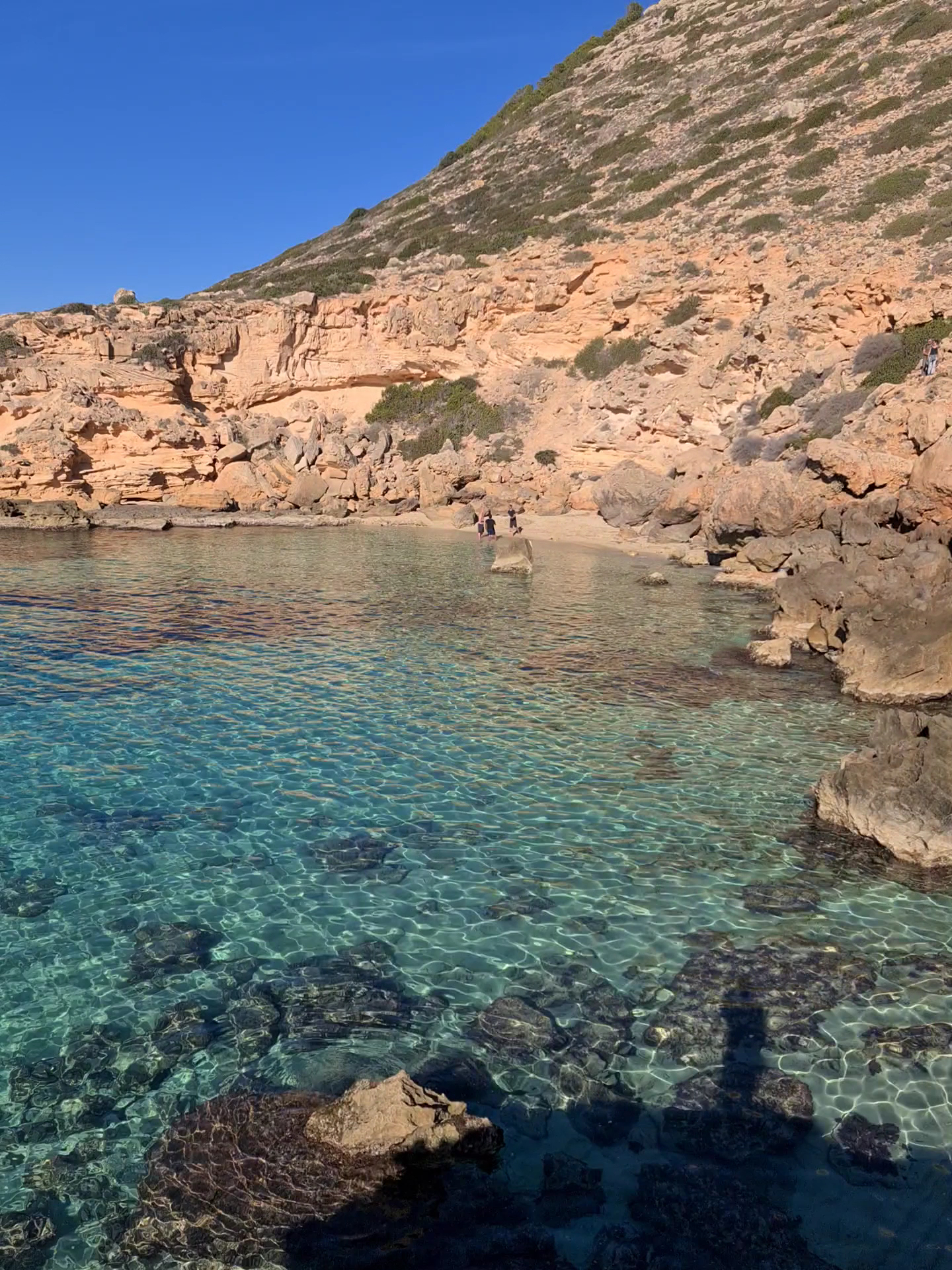 Dolphin Watching in Cala Blava photo 2