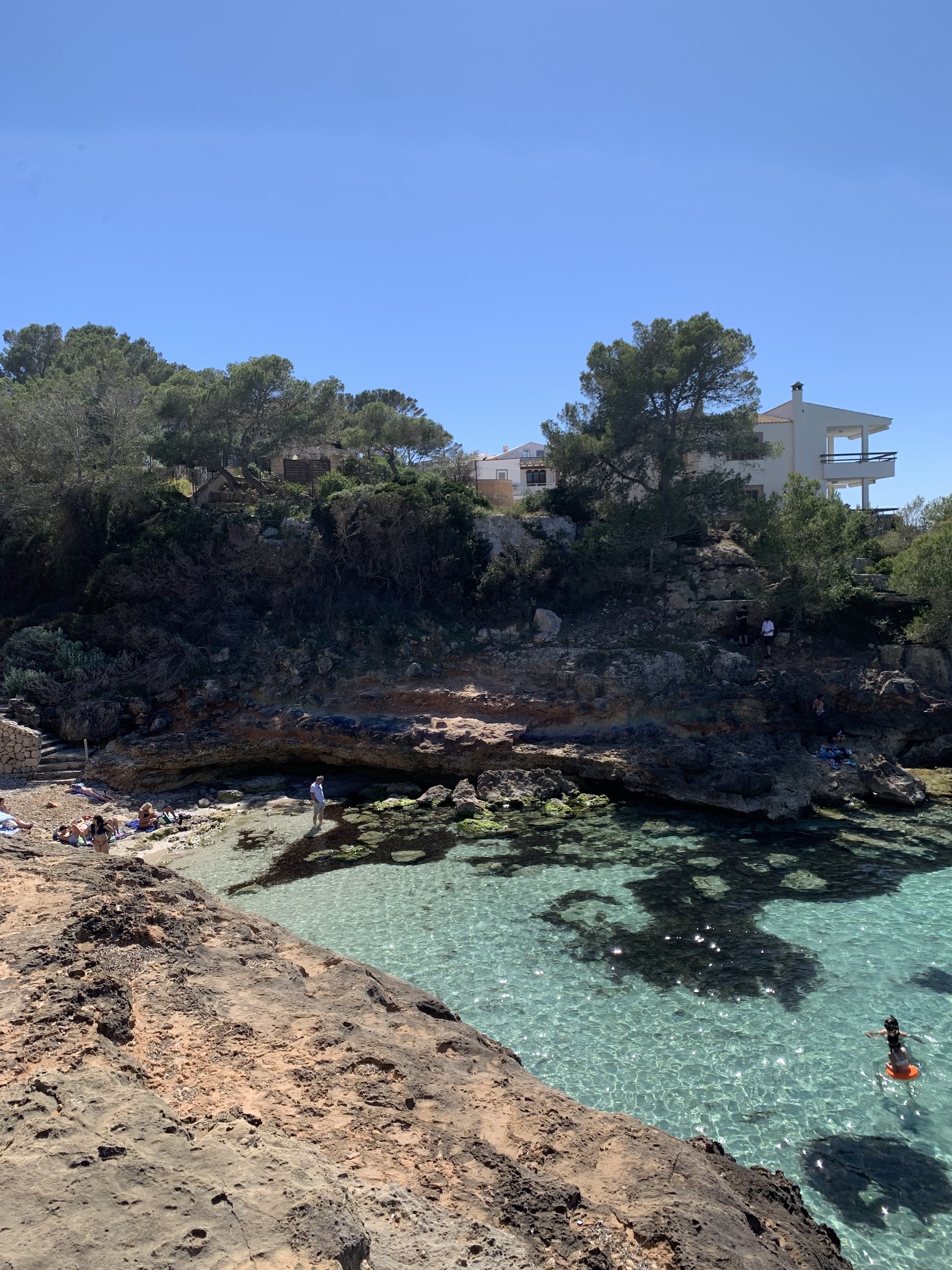 Dolphin Watching in Cala Blava photo 3