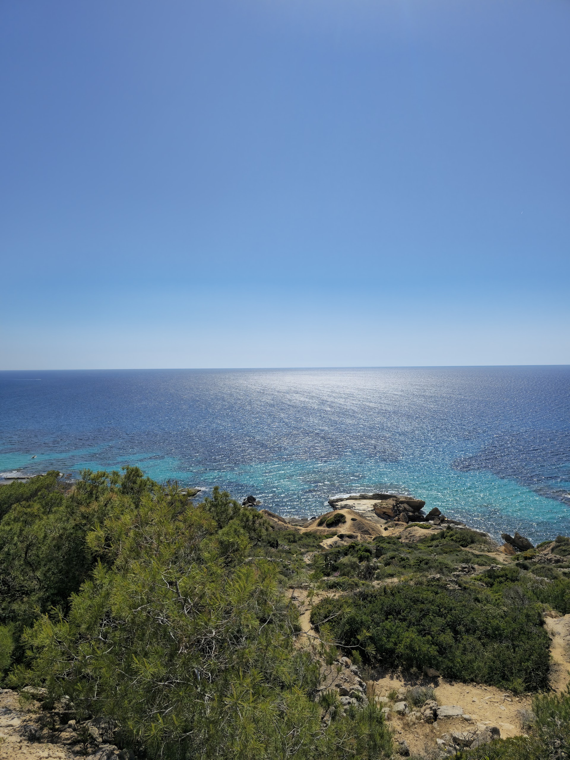 Dolphin Watching in Cala Blava photo 4