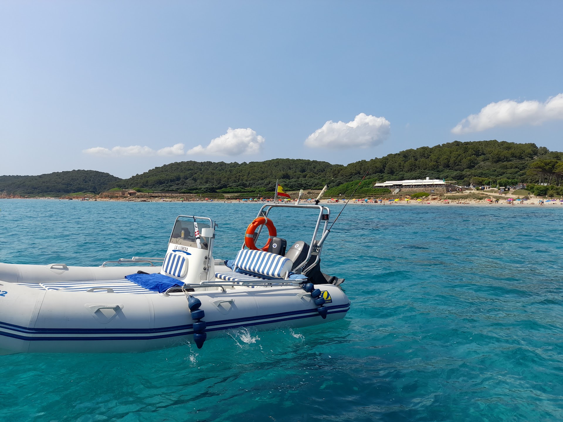 Whale Watching in Cala Galdana photo 4