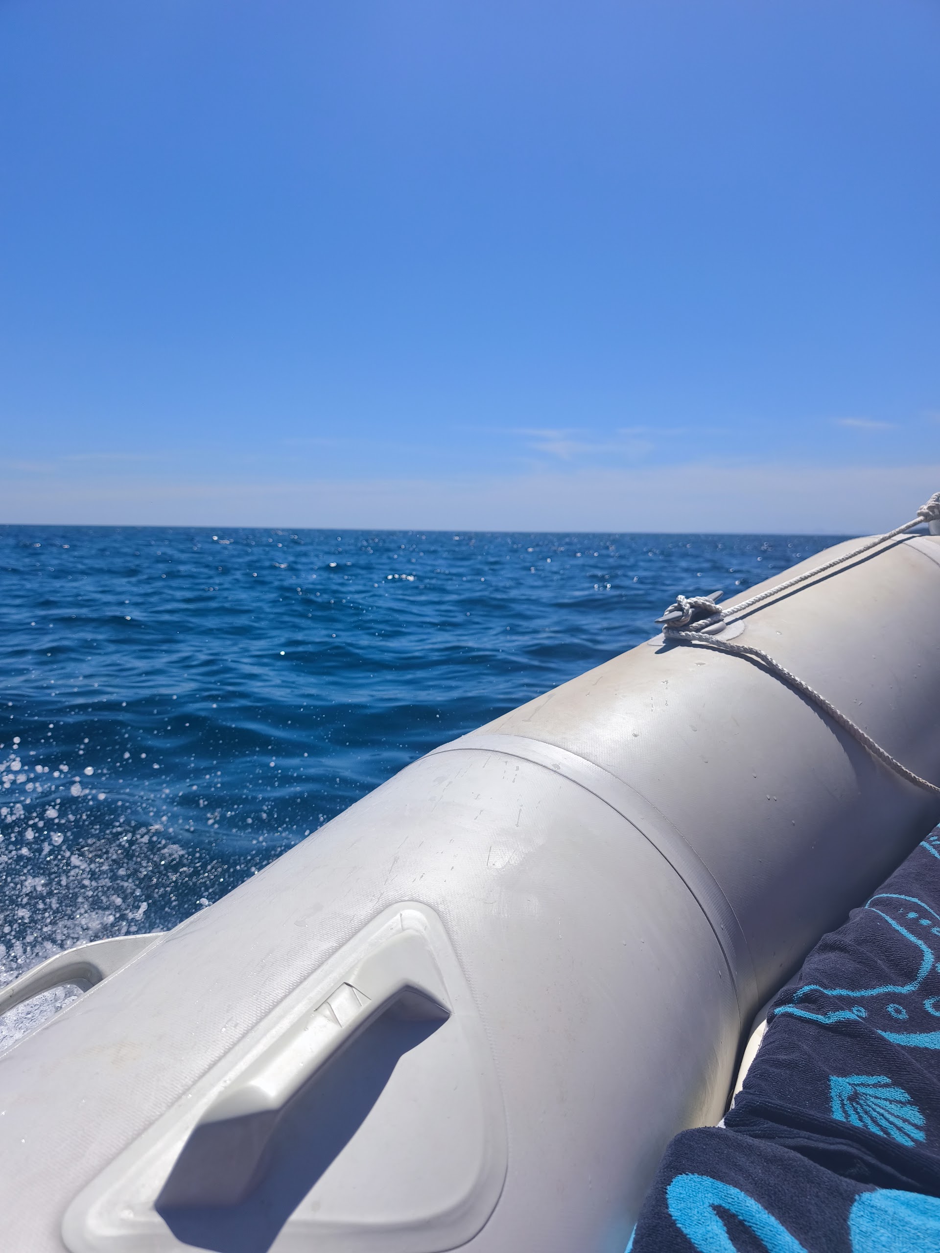 Whale Watching in Cala Galdana photo 5