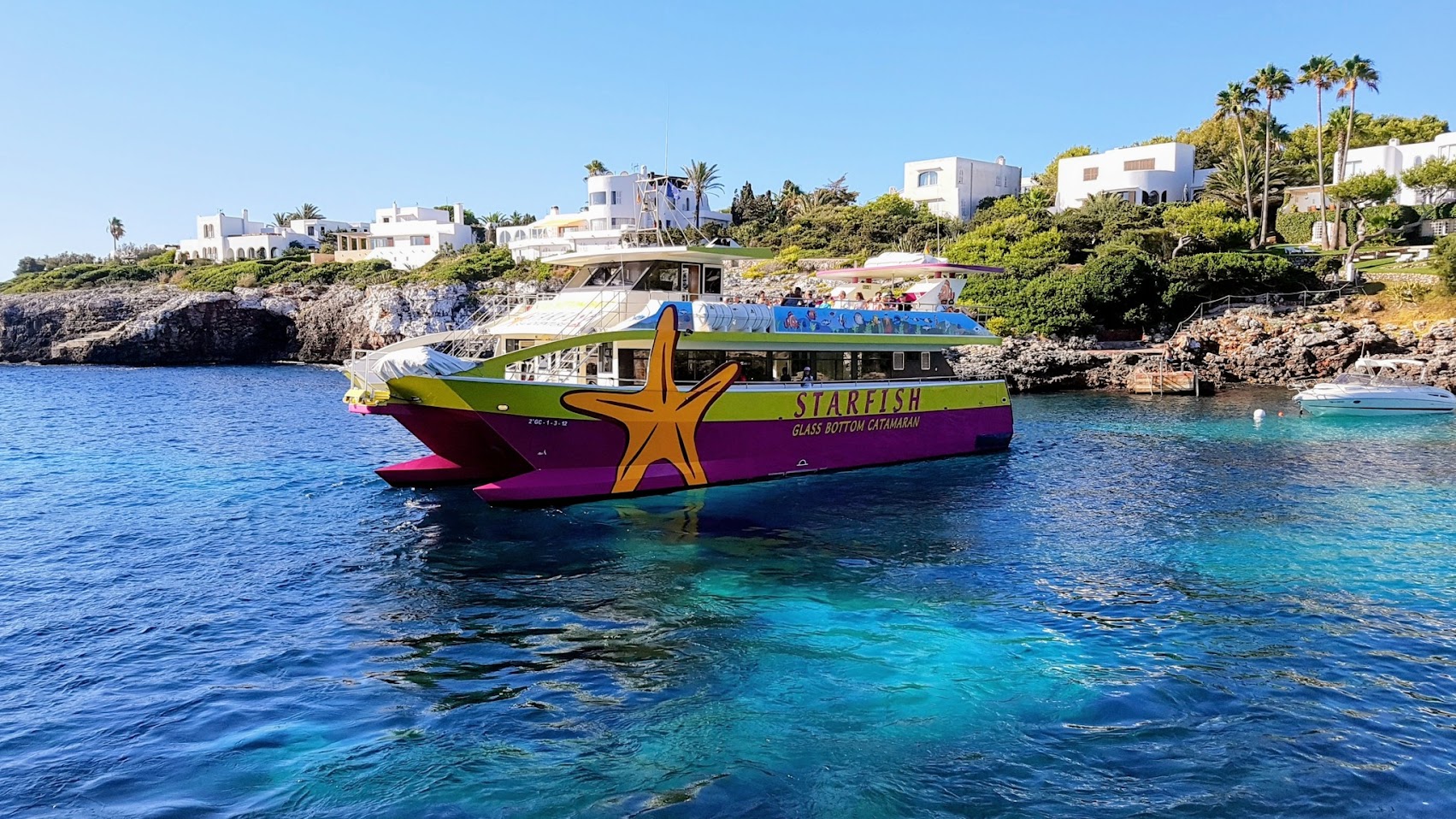 Dolphin Watching in Cala d'Or photo 1