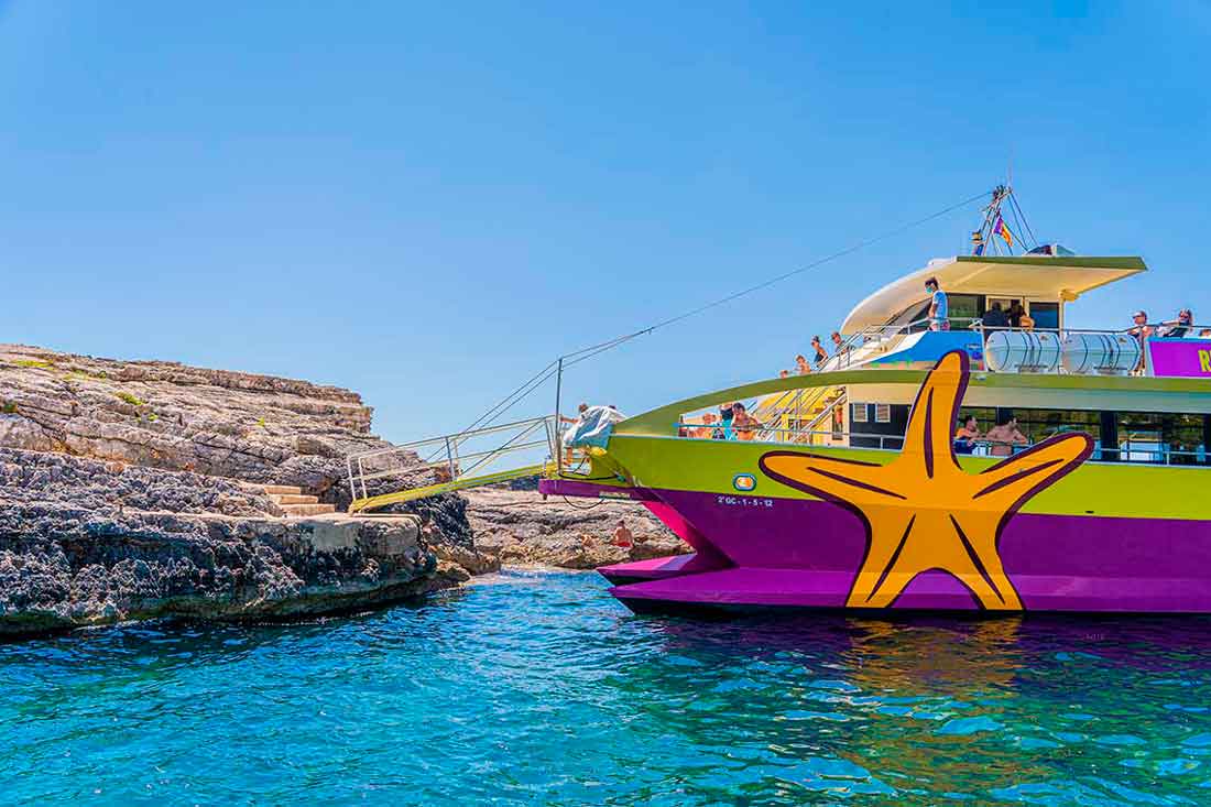 Dolphin Watching in Cala d'Or photo 2