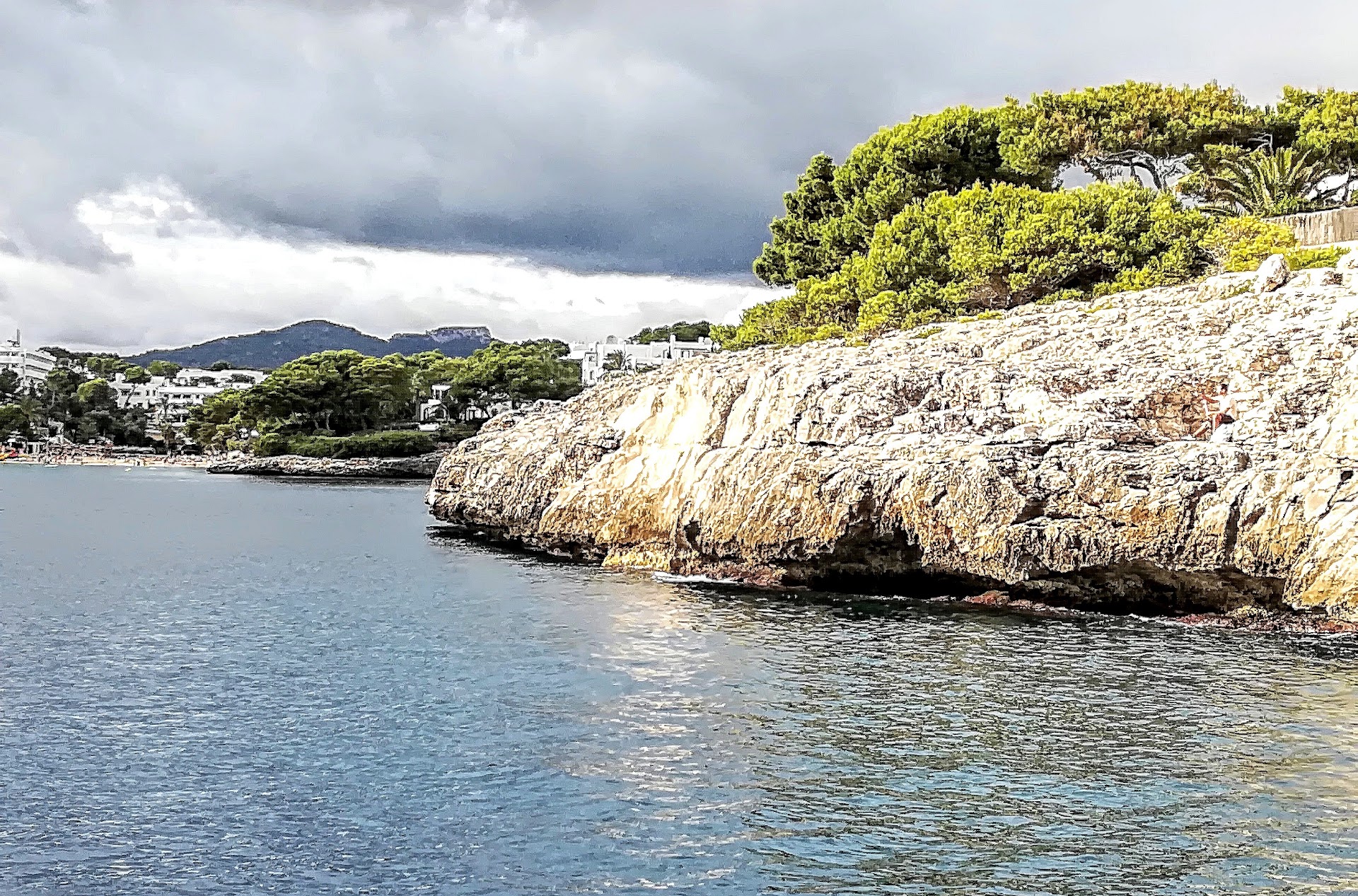 Dolphin Watching in Cala d'Or photo 5