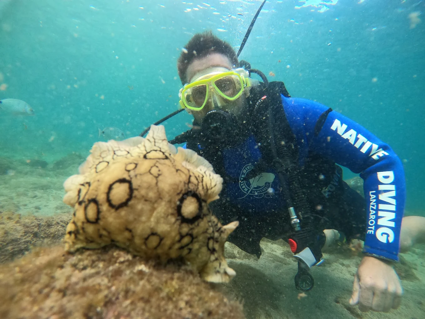 Diving & Snorkeling in Famara photo 2