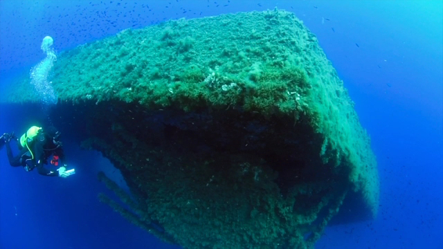 Scuba Courses in Cala Tarida photo 4