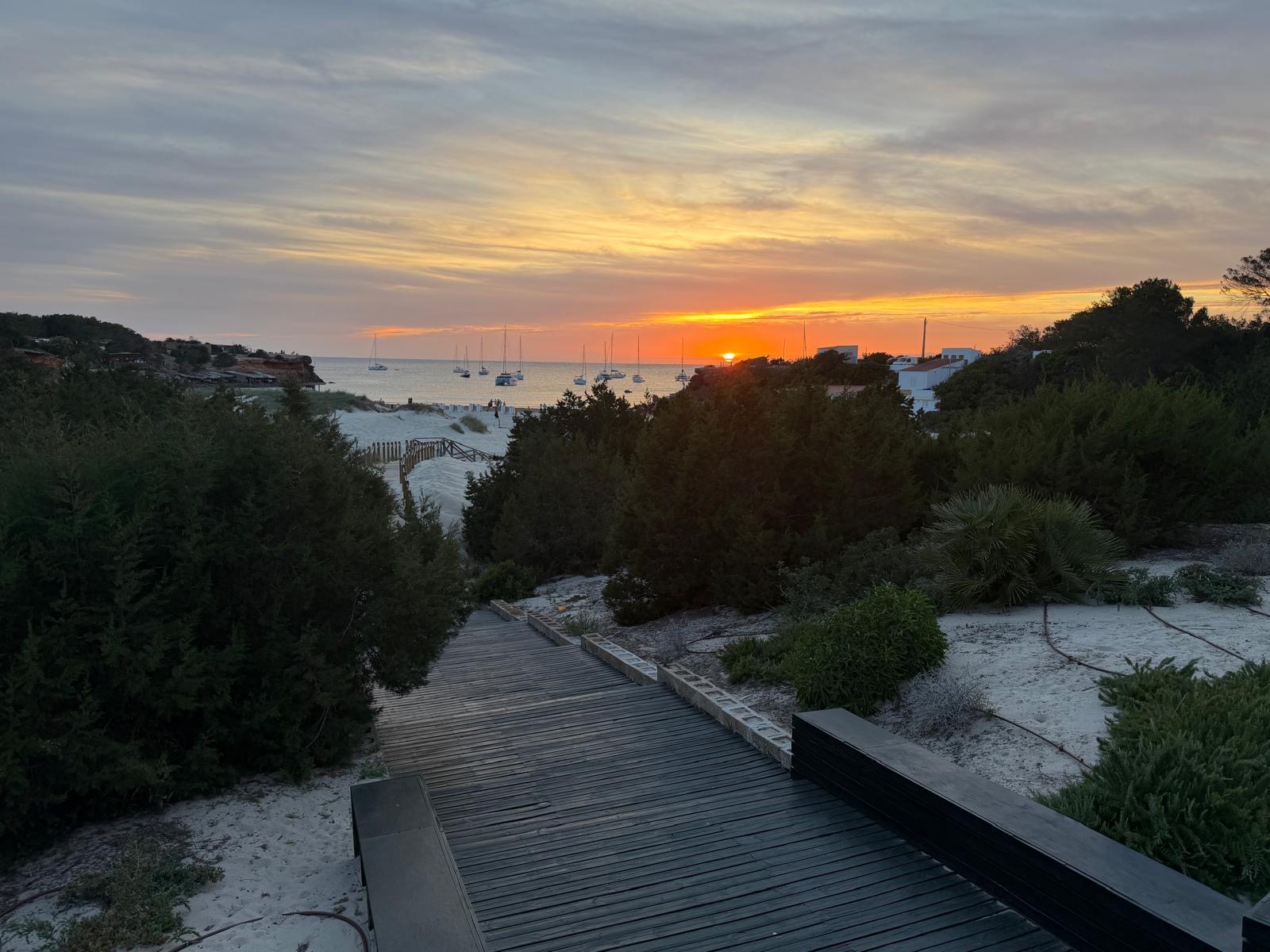 Champagne Cruises in Cala Saona photo 2