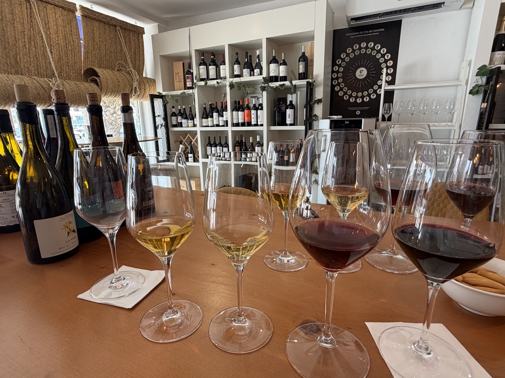 Wine Tasting in Playa de las Américas photo 5