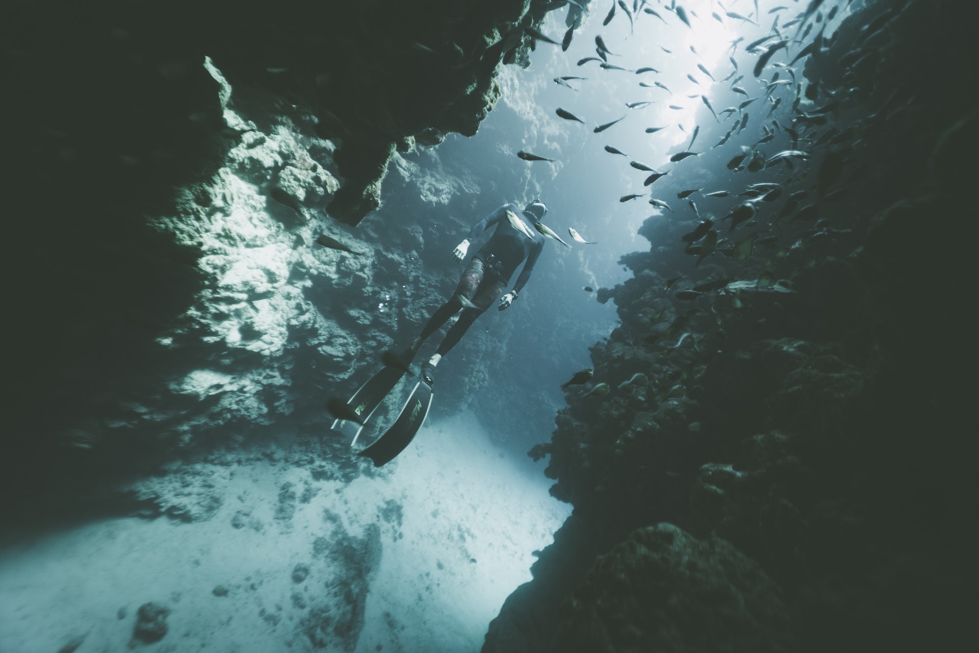 Saltfish Freediving Ibiza