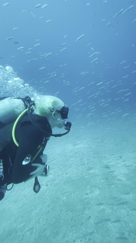 Scuba Courses in Las Palmas photo 3