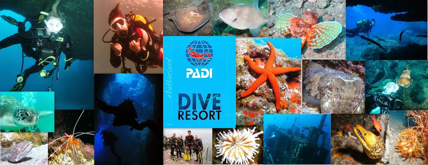 Diving Teide Divers