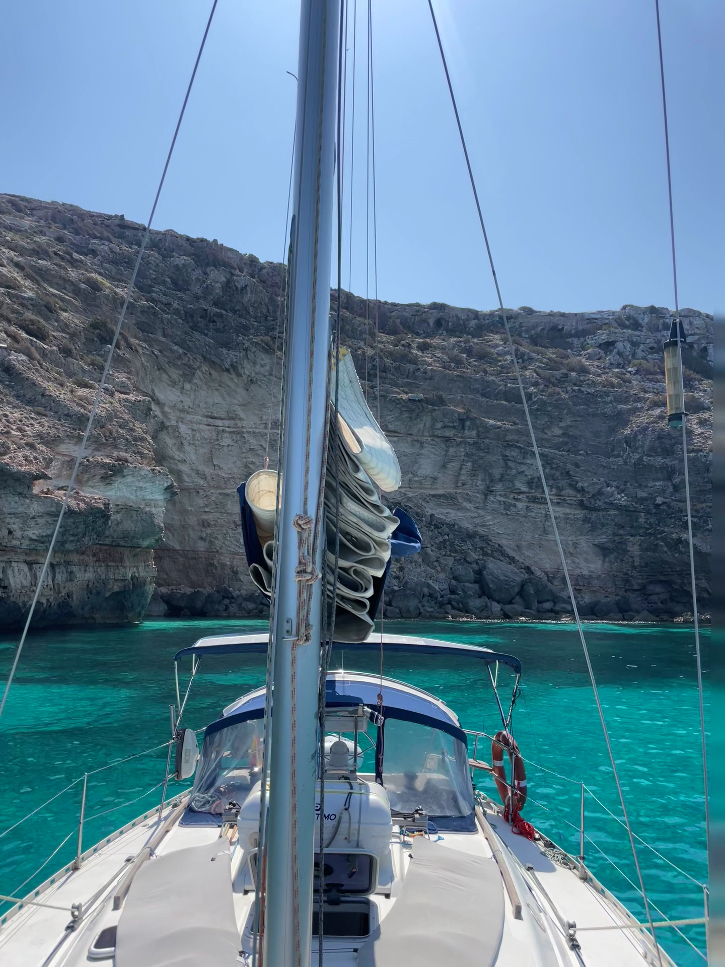 Dolphin Watching in Cala Nova photo 3