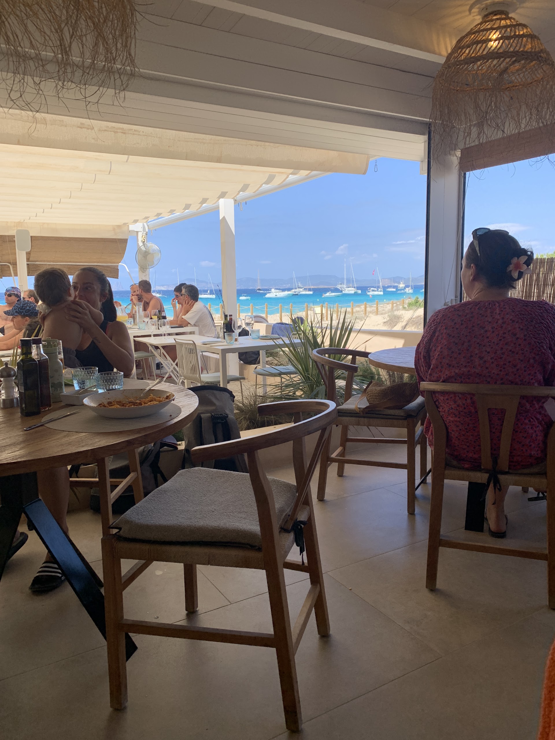 Dolphin Watching in Cala Nova photo 4