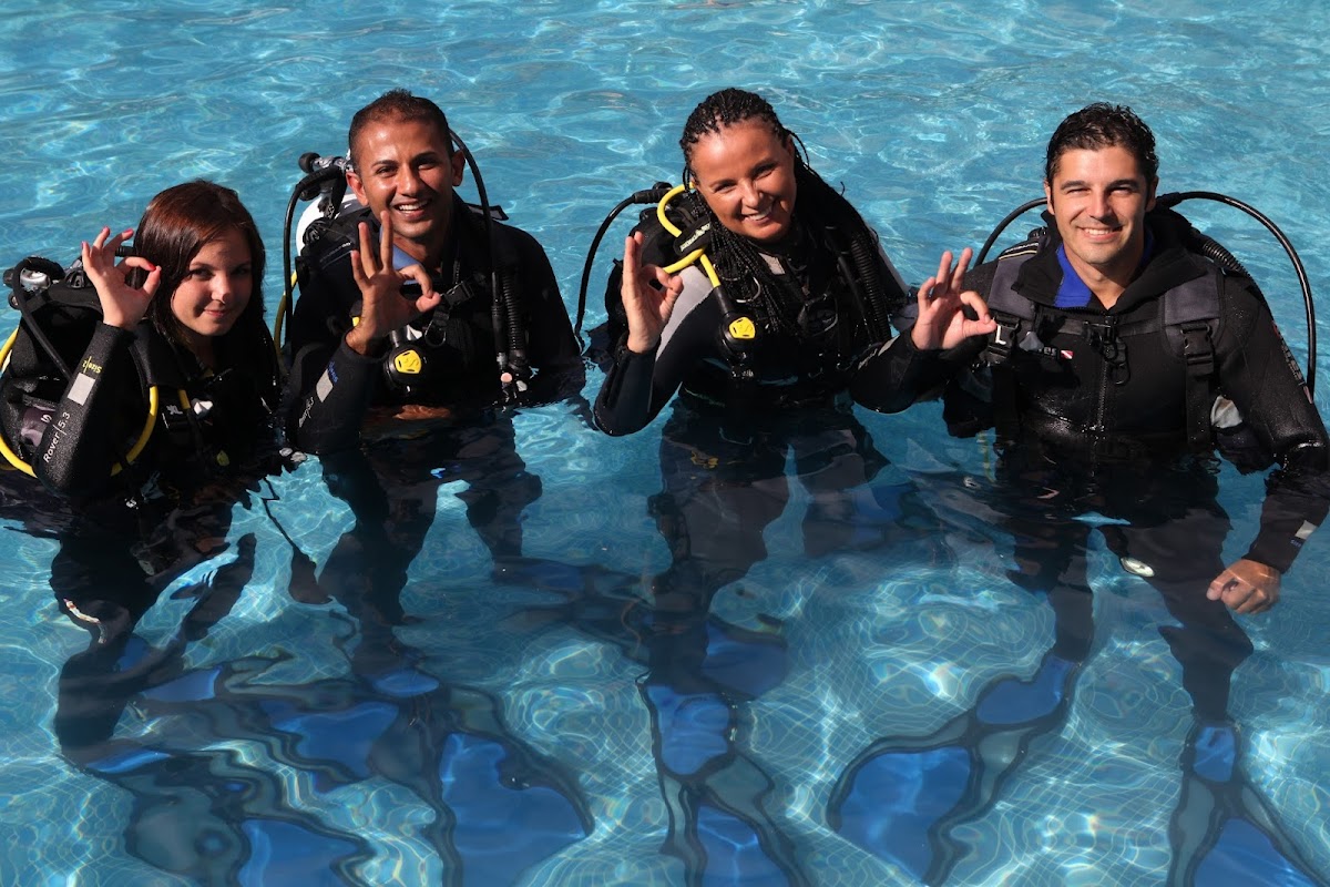 Diving & Snorkeling in Puerto de Mogán photo 4
