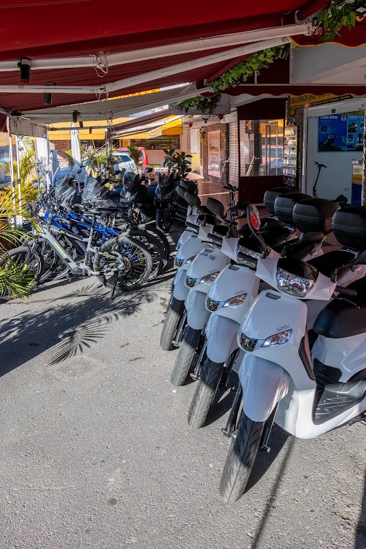 Mountain Bike Rental in Puerto Rico photo 5