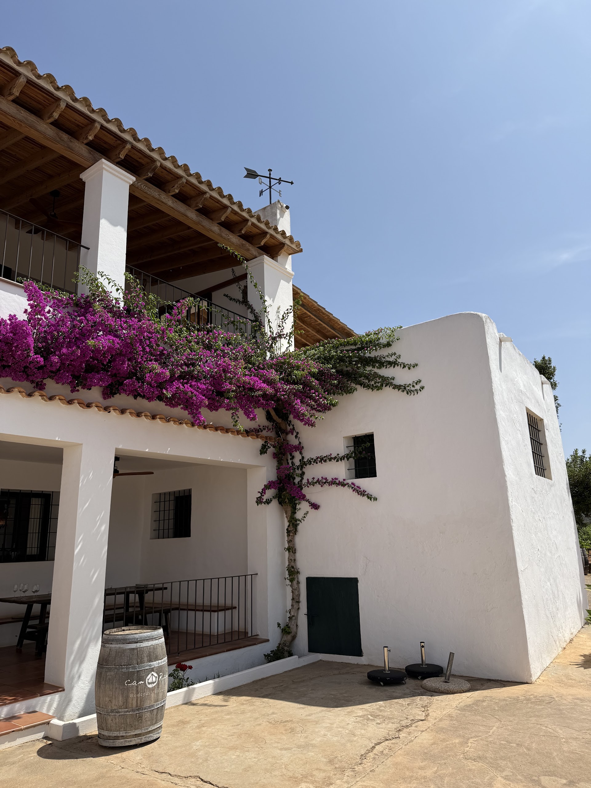 Wine Tasting in Cala Tarida photo 1