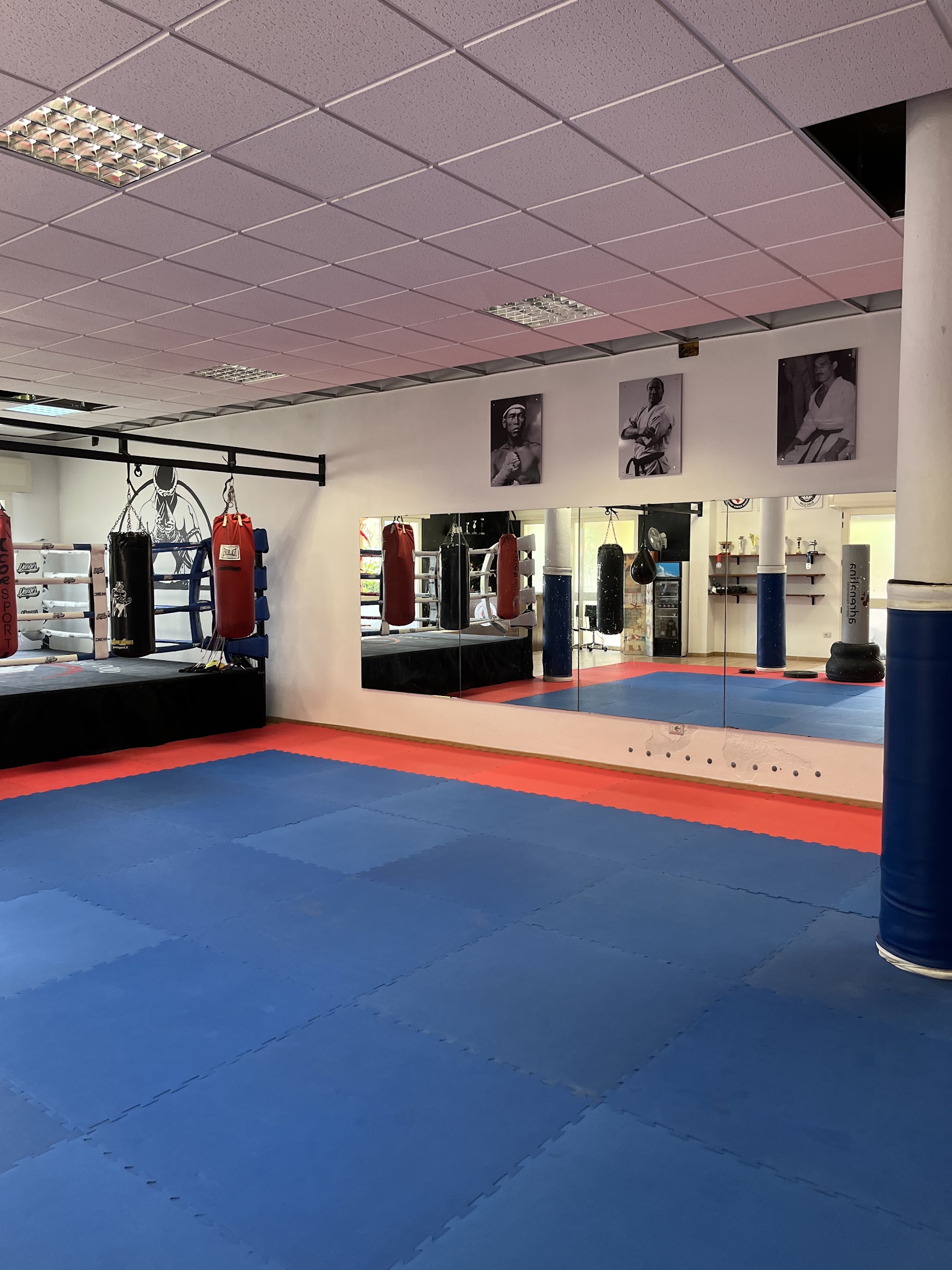 Shinobu Dojo