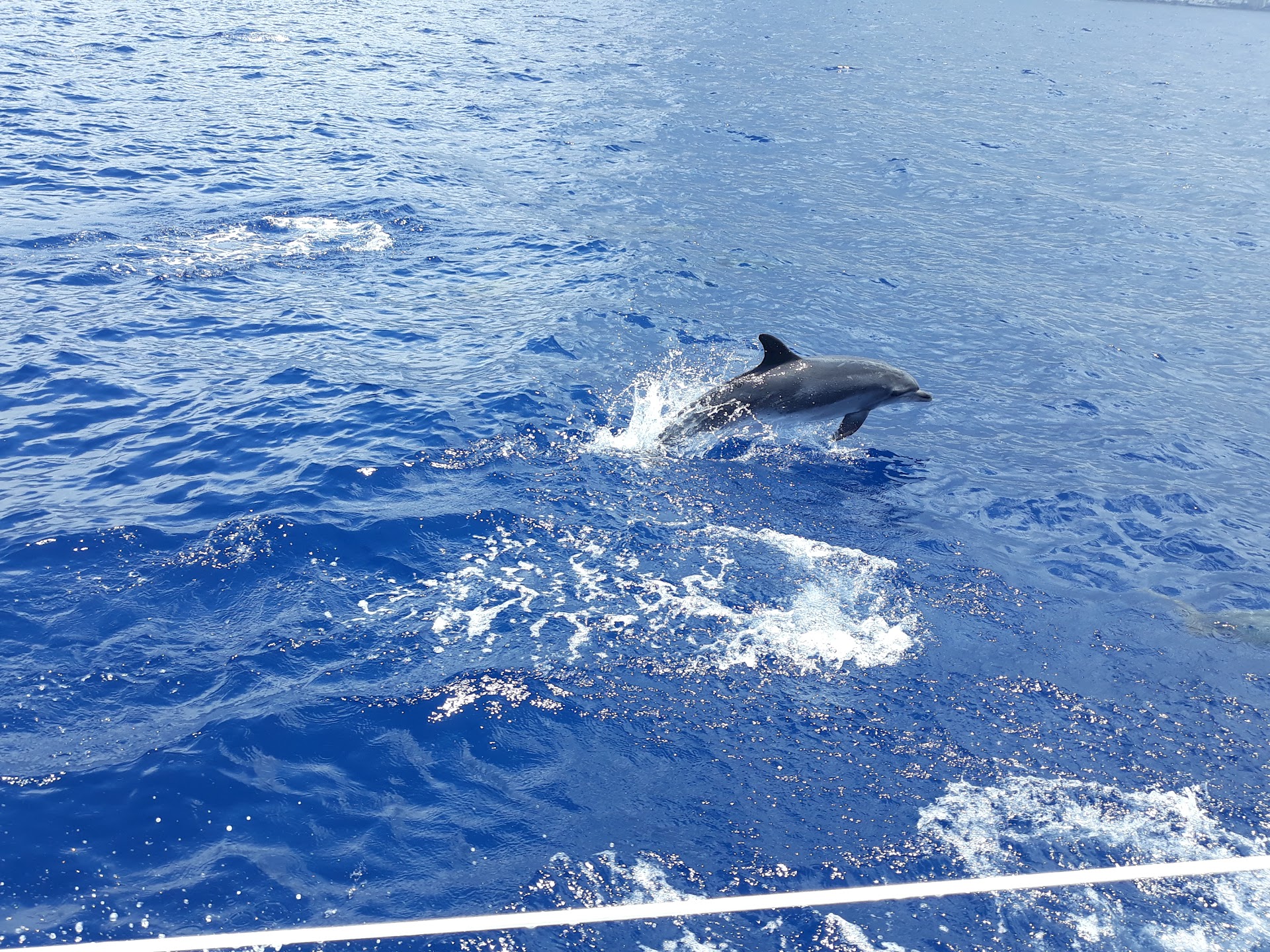 Champagne Cruises in San Juan photo 4