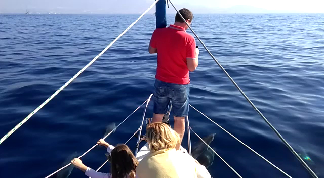 Champagne Cruises in San Juan photo 5