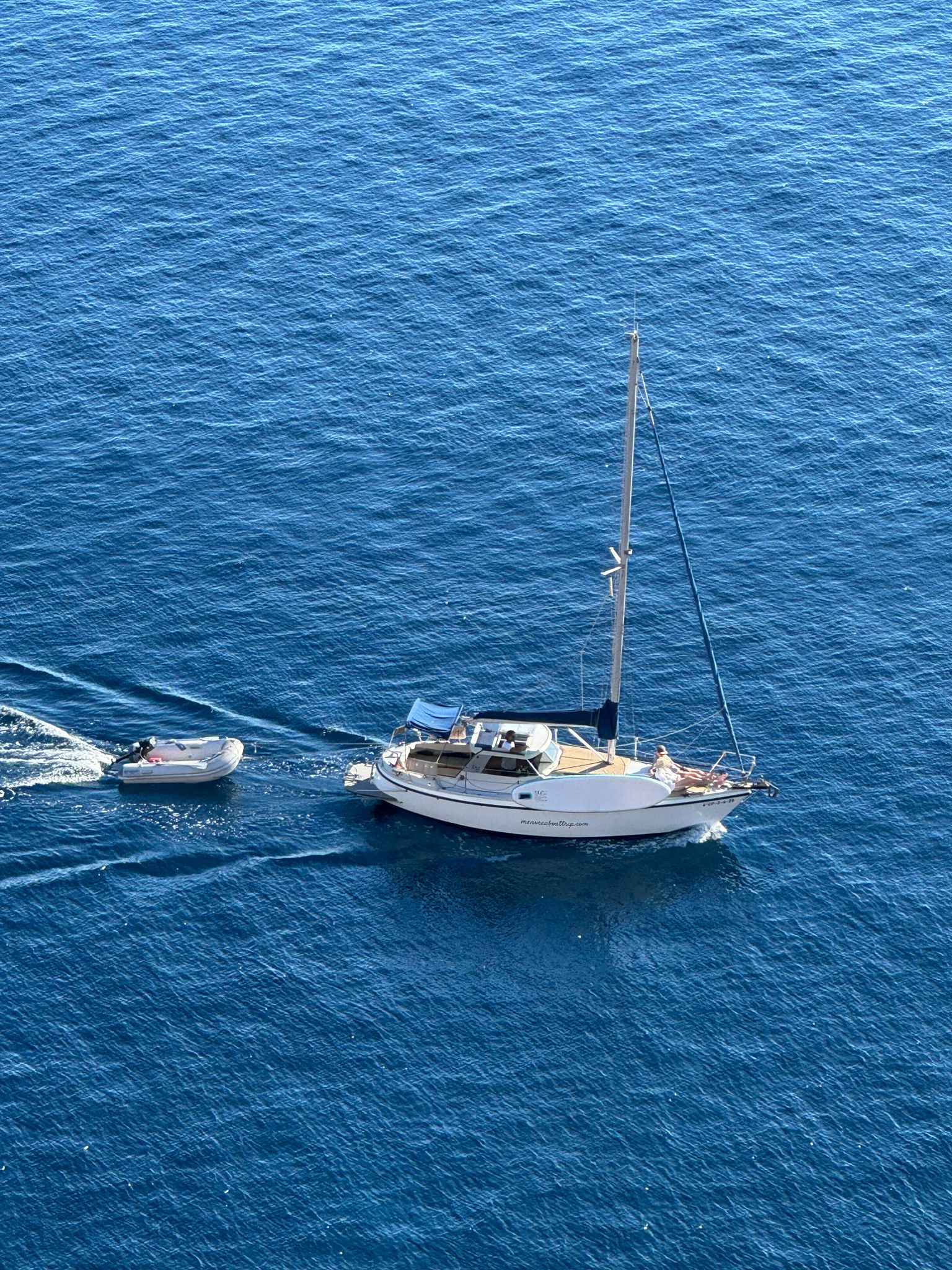 Dolphin Watching in Binibeca photo 2