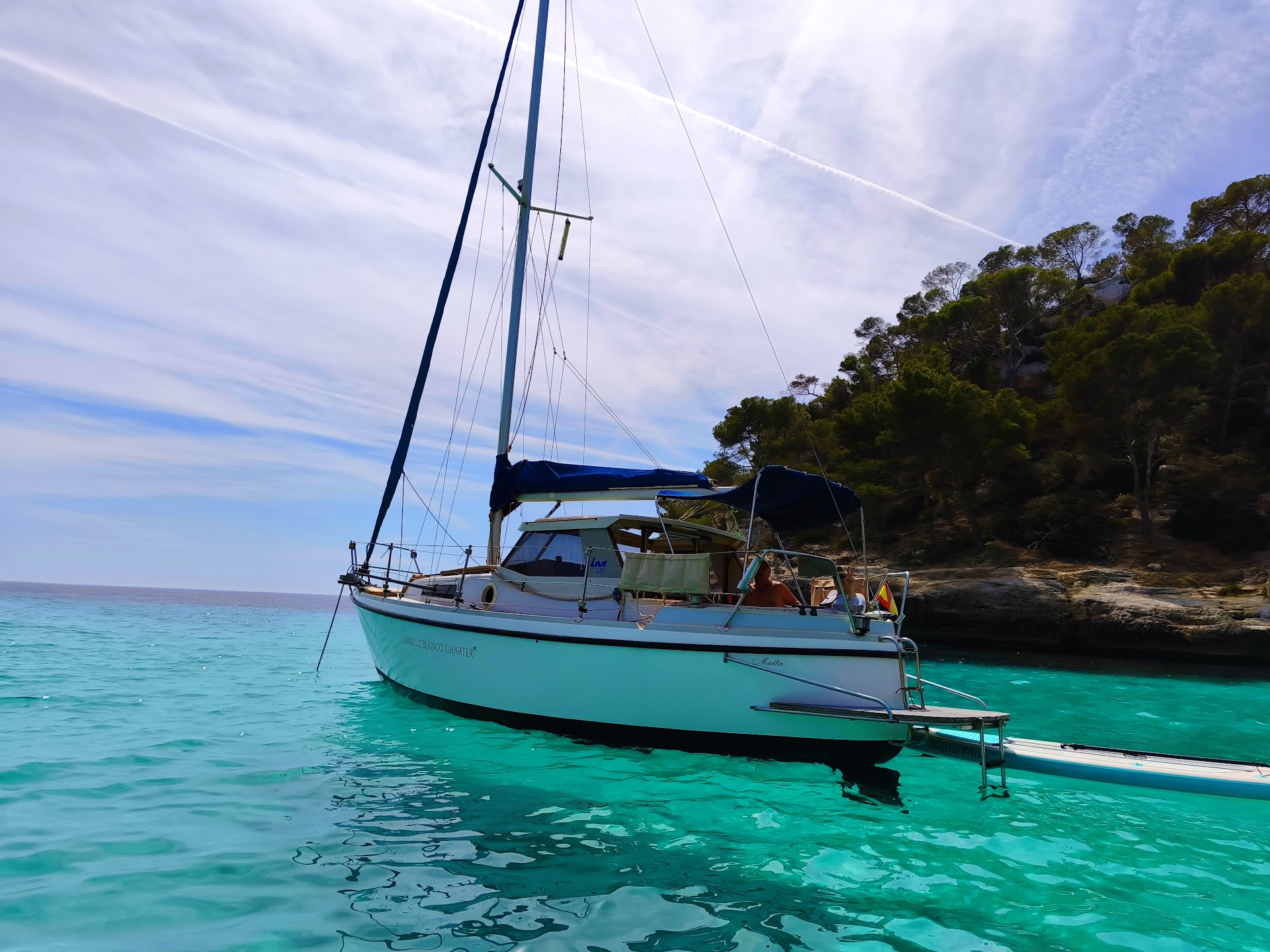 Dolphin Watching in Binibeca photo 4