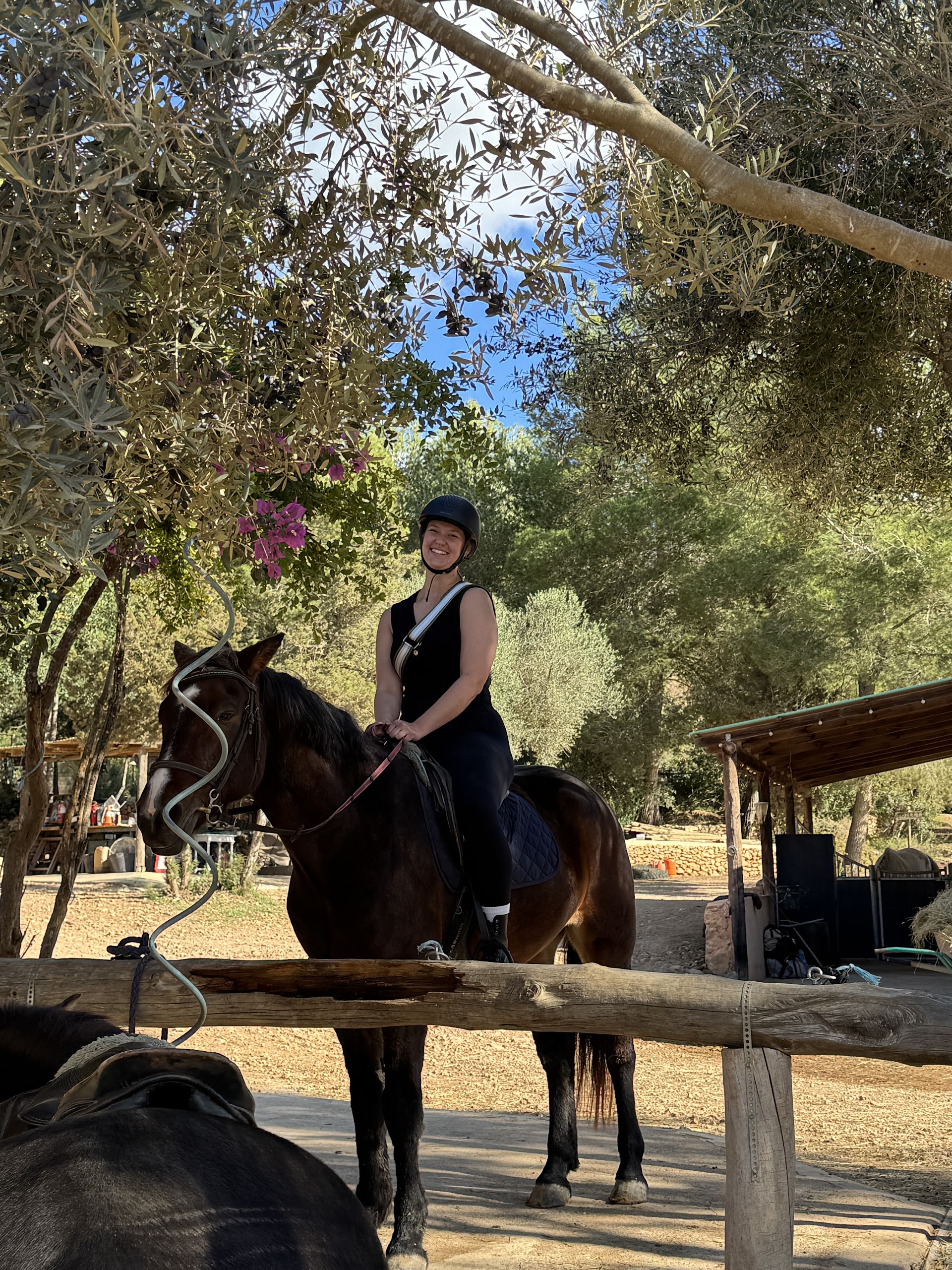 Ibiza Wellness Retreats
