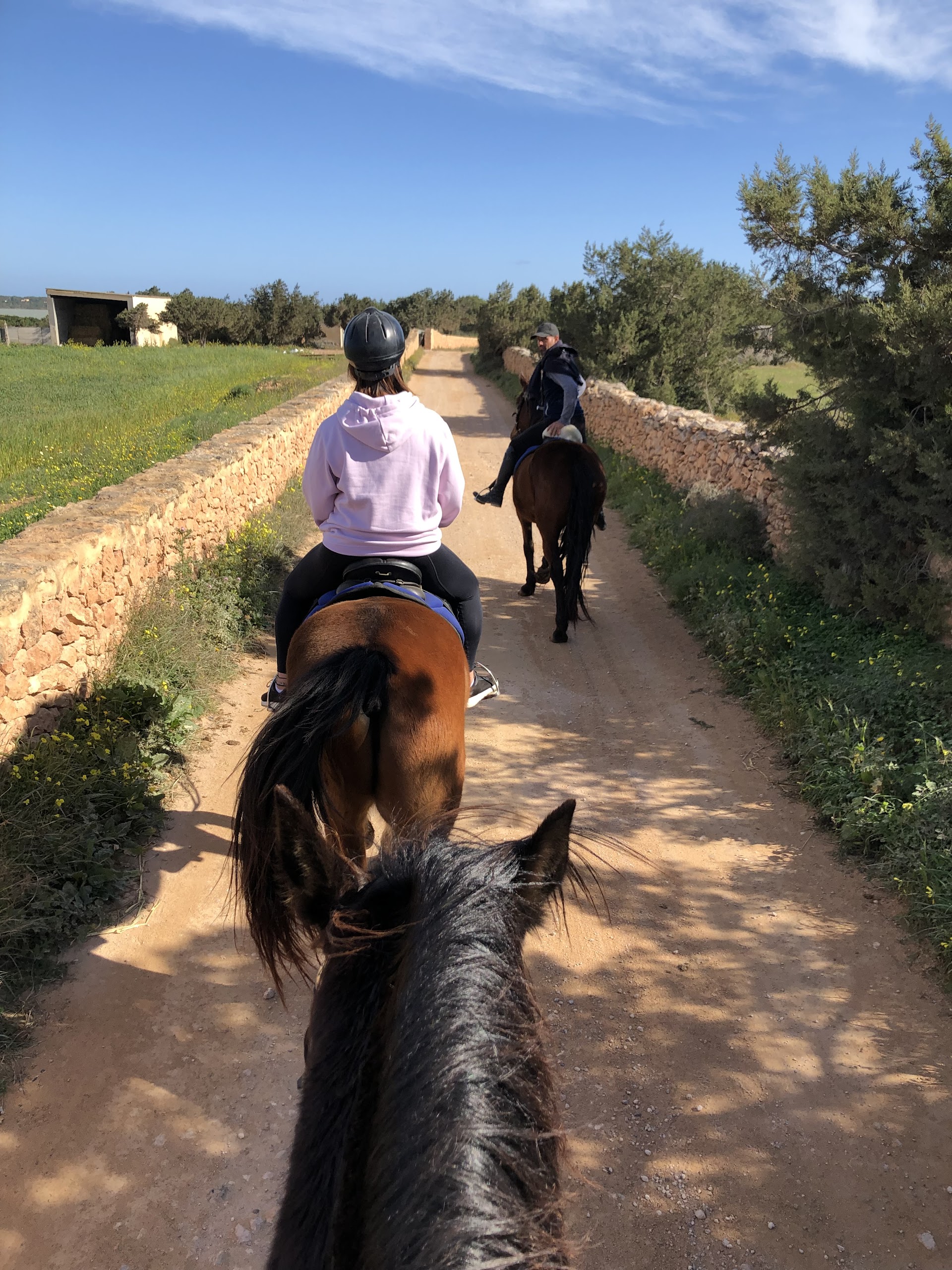 Wellness Retreat in Sant Rafel photo 2