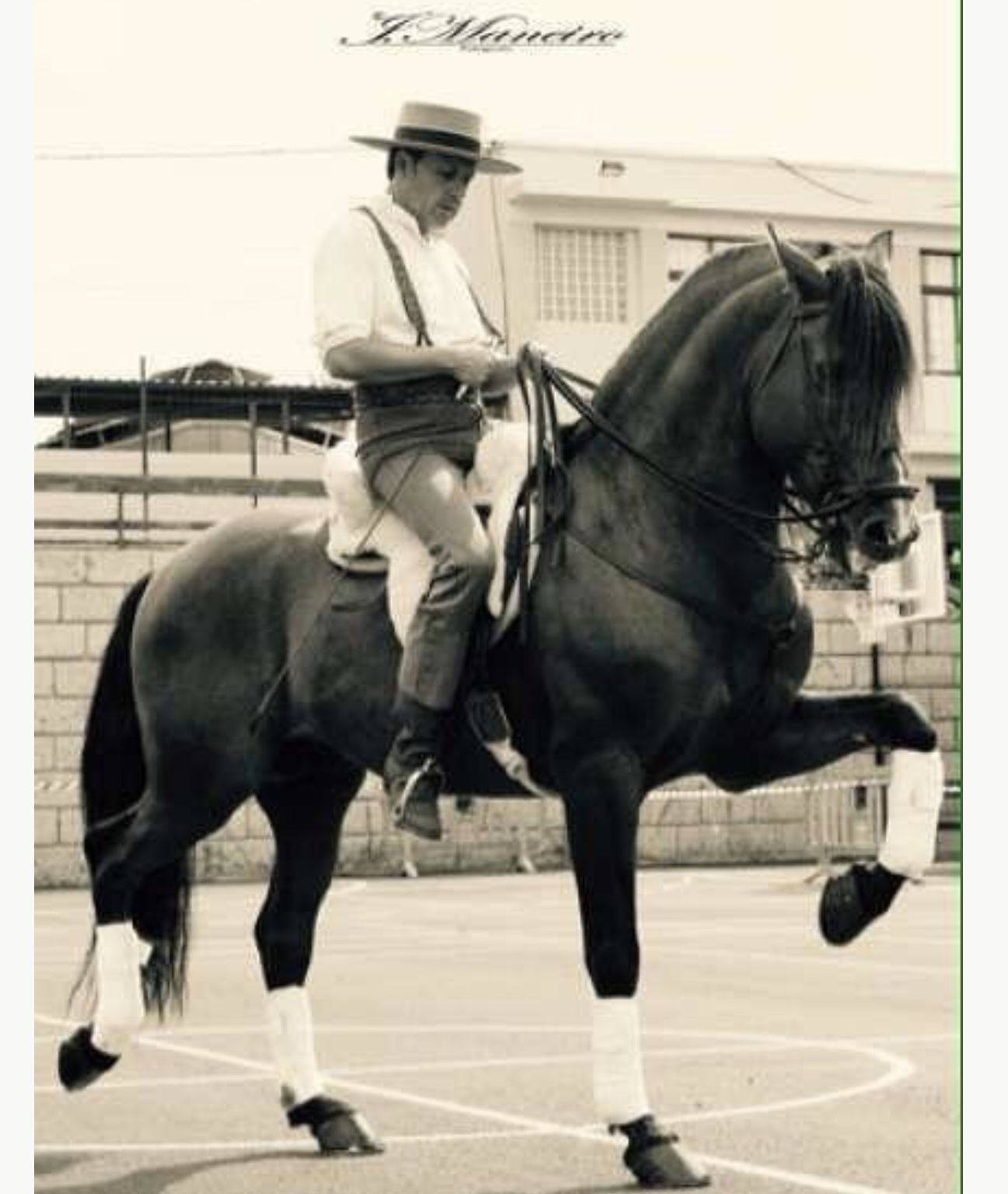 Horseback Riding in tenerife photo 1