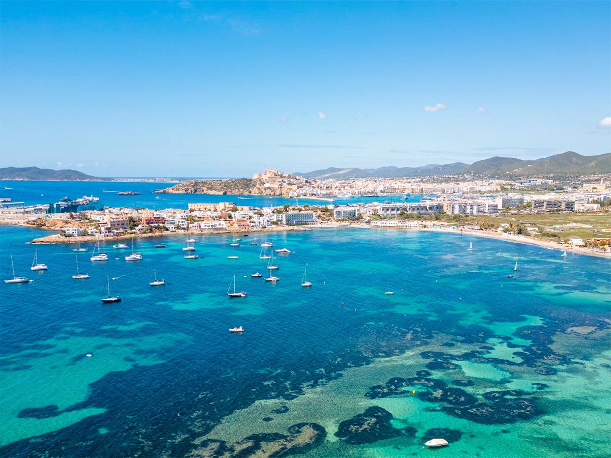 Dolphin Watching in Talamanca photo 1