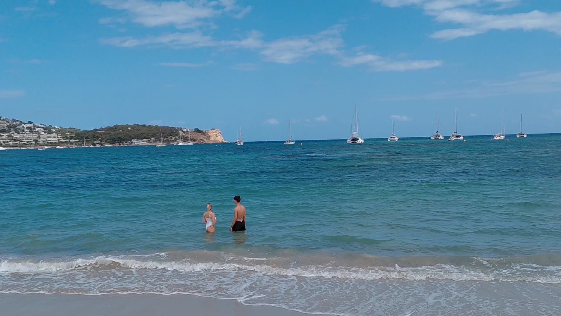 Dolphin Watching in Talamanca photo 3