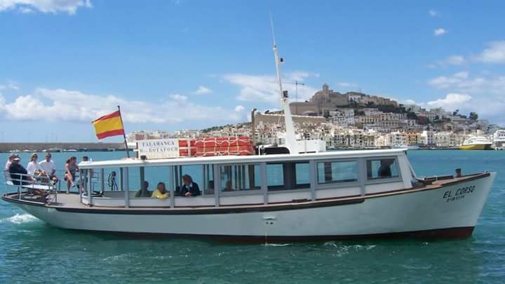 Dolphin Watching in Talamanca photo 4