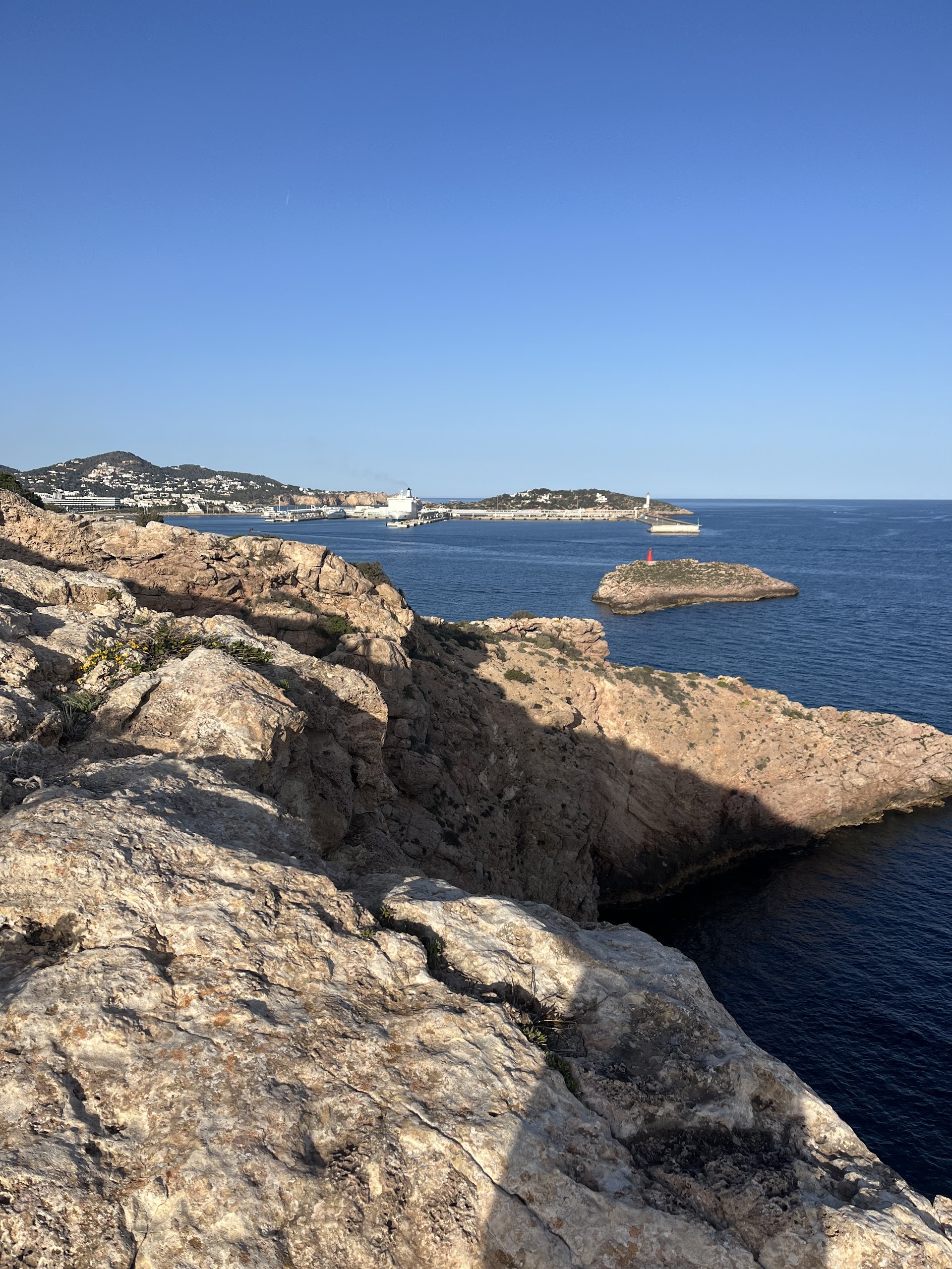 Dolphin Watching in Talamanca photo 5