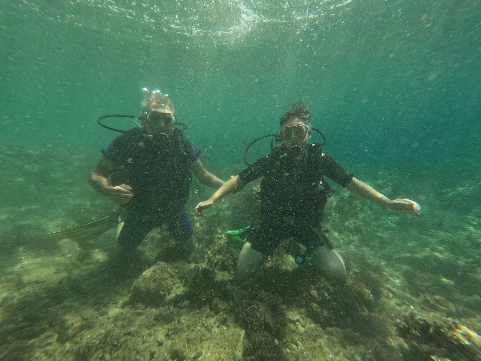 Diving Dragonera