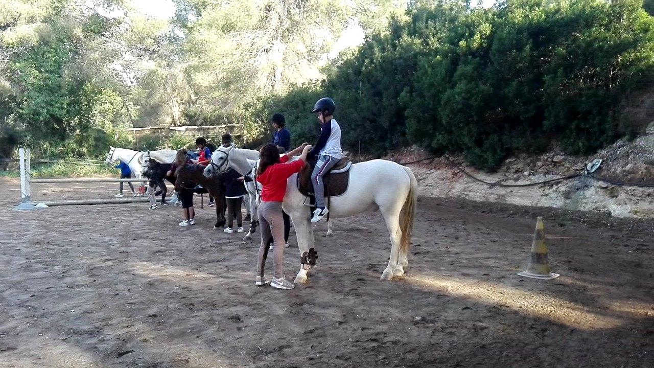 Horseback Riding in San Juan photo 2