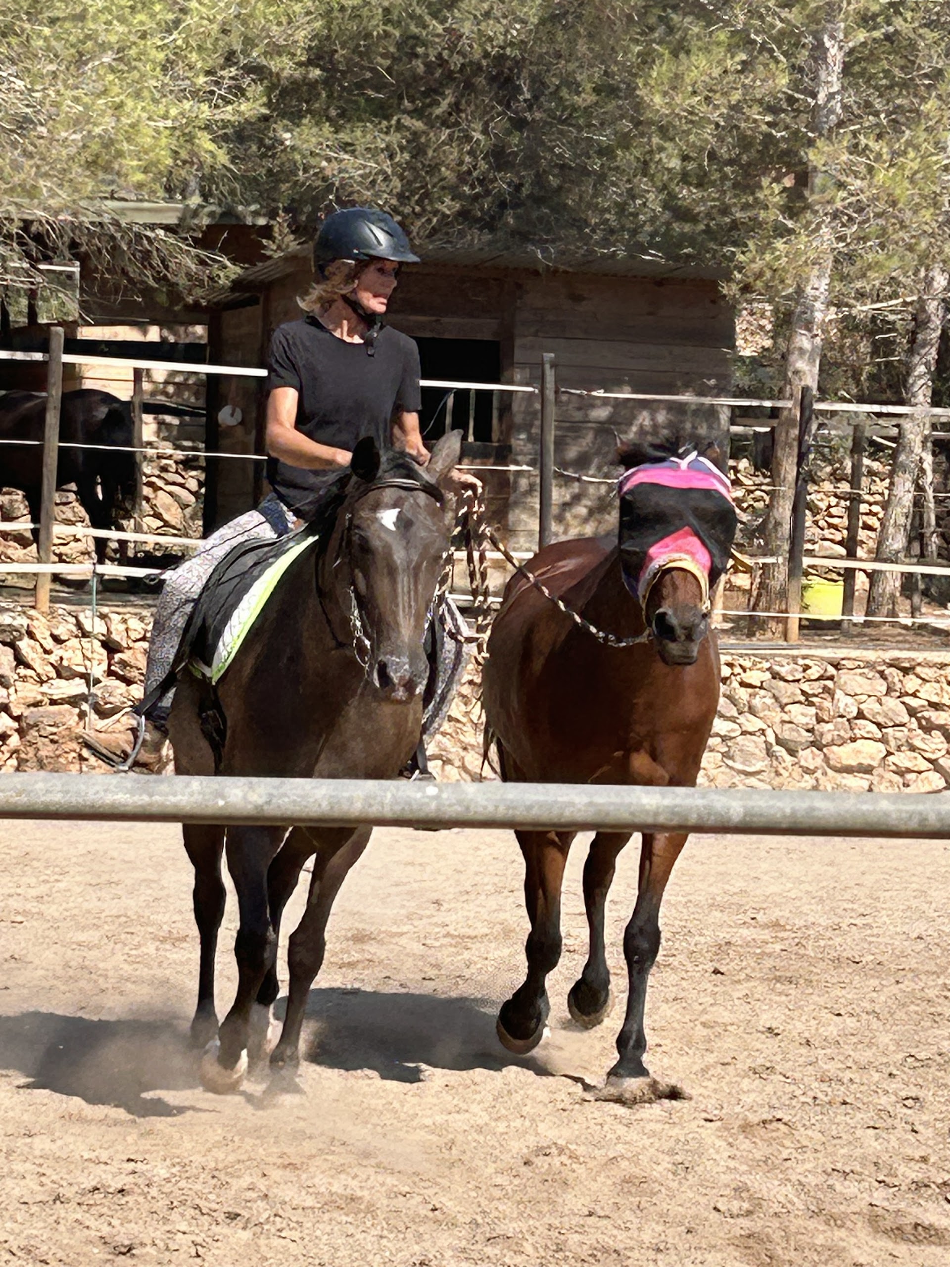 Horseback Riding in San Juan photo 5