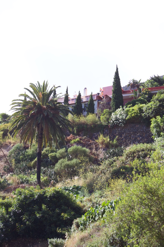 Wellness Retreat in Los Cristianos photo 5