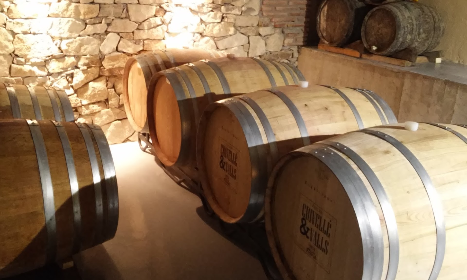 Wine Tasting in Sant Rafel photo 5