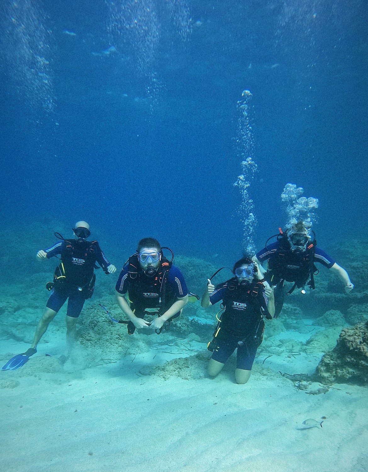 Scuba Courses in Playa de Muro photo 2