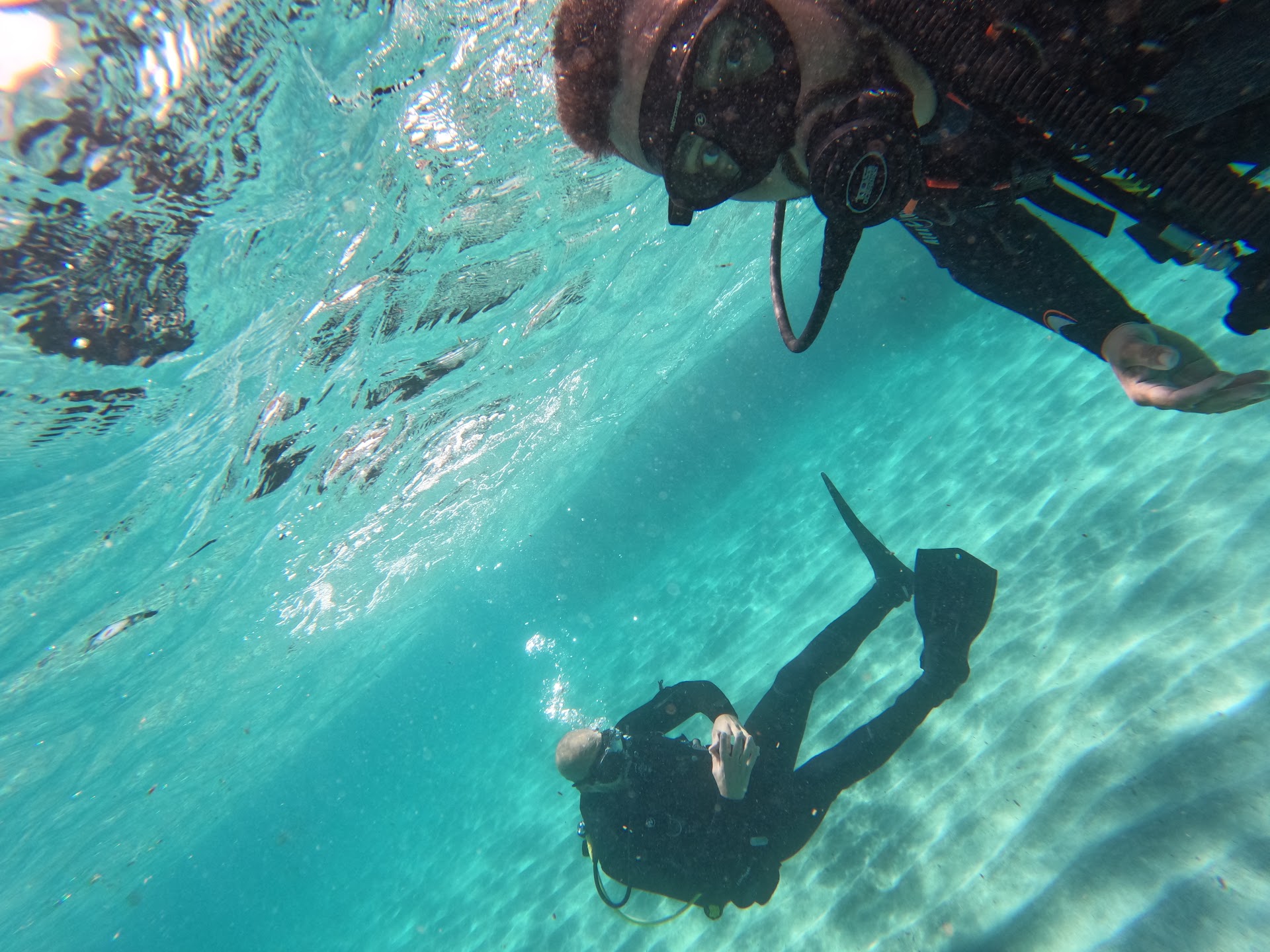Scuba Courses in Playa de Muro photo 5